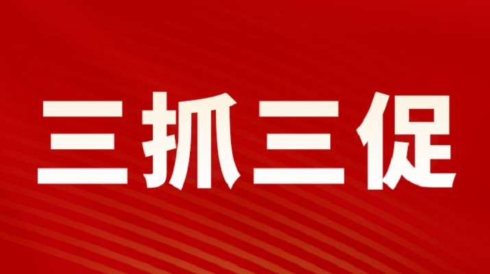 三抓三促进行时丨开云（中国）集团召开重点项目调度会